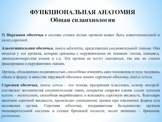 3) Наружная оболочка в составе стенки полых органов может быть адвентициальной