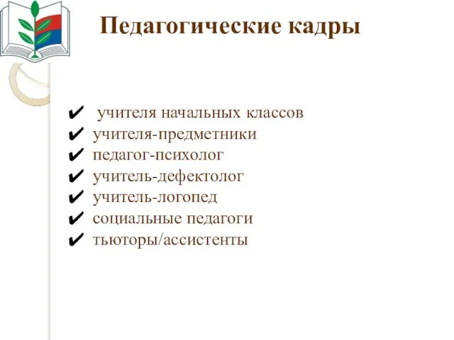 Педагогические кадры учителя начальных классов учителя-предметники педагог-психолог учитель-дефектолог учитель-логопед социальные педагоги тьюторы/ассистенты