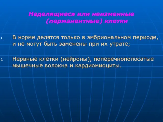 Неделящиеся или неизменные (перманентные) клетки В норме делятся только в эмбриональном