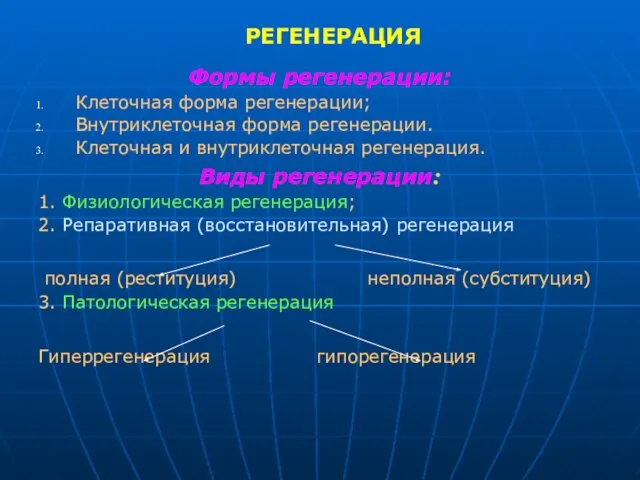 РЕГЕНЕРАЦИЯ Формы регенерации: Клеточная форма регенерации; Внутриклеточная форма регенерации. Клеточная и