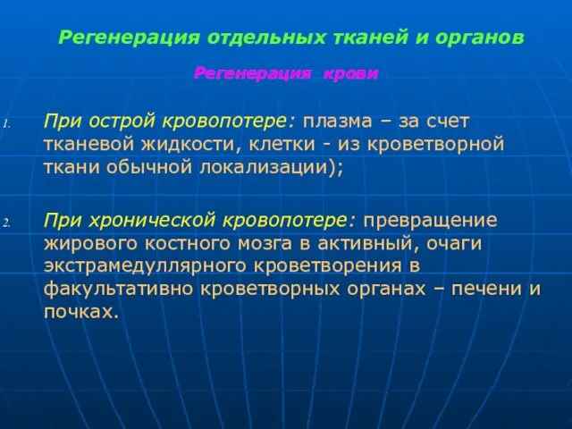 Регенерация отдельных тканей и органов Регенерация крови При острой кровопотере: плазма