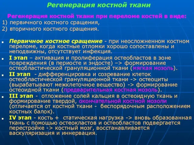 Регенерация костной ткани Регенерация костной ткани при переломе костей в виде: