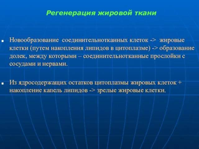 Регенерация жировой ткани Новообразование соединительнотканных клеток -> жировые клетки (путем накопления