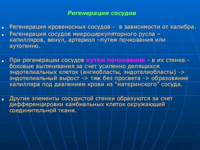 Регенерация сосудов Регенерация кровеносных сосудов - в зависимости от калибра. Регенерация