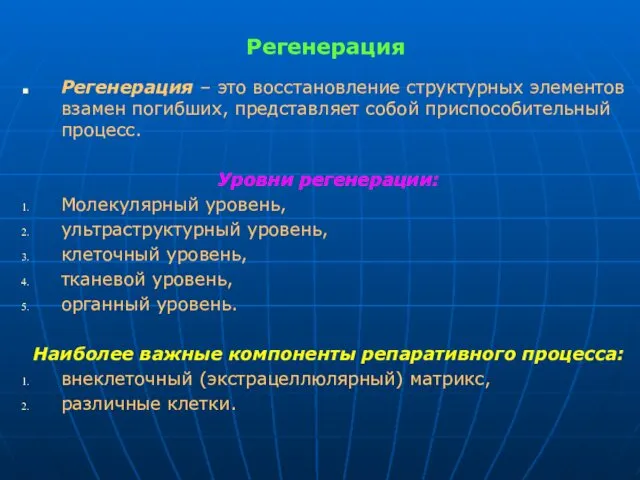 Регенерация Регенерация – это восстановление структурных элементов взамен погибших, представляет собой