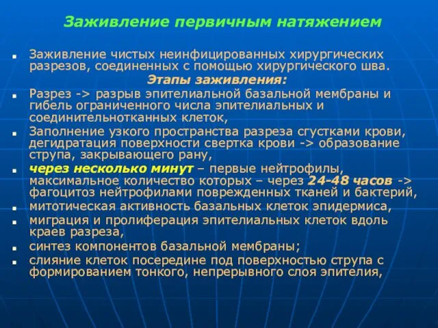 Заживление первичным натяжением Заживление чистых неинфицированных хирургических разрезов, соединенных с помощью