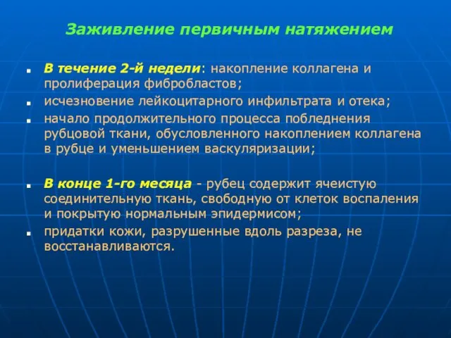 Заживление первичным натяжением В течение 2-й недели: накопление коллагена и пролиферация