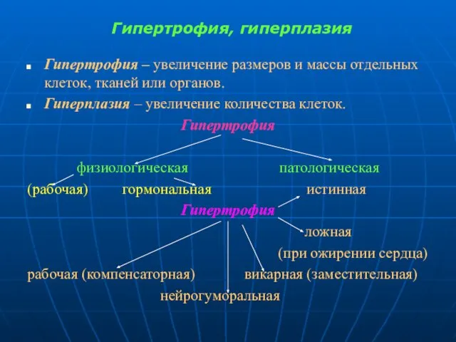 Гипертрофия, гиперплазия Гипертрофия – увеличение размеров и массы отдельных клеток, тканей