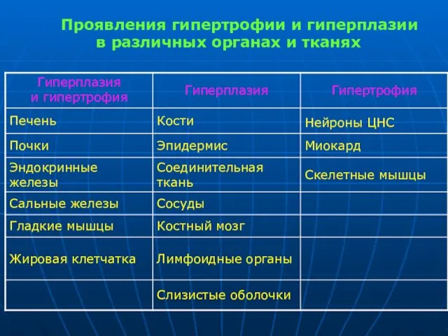 Проявления гипертрофии и гиперплазии в различных органах и тканях