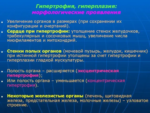 Гипертрофия, гиперплазия: морфологические проявления Увеличение органов в размерах (при сохранении их