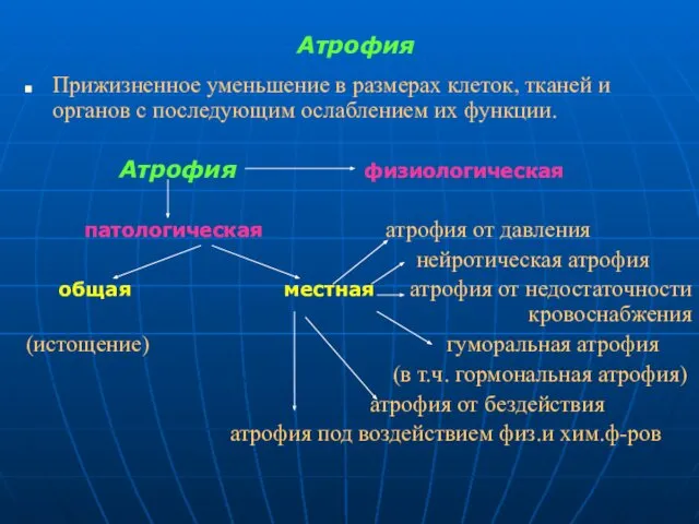 Атрофия Прижизненное уменьшение в размерах клеток, тканей и органов с последующим