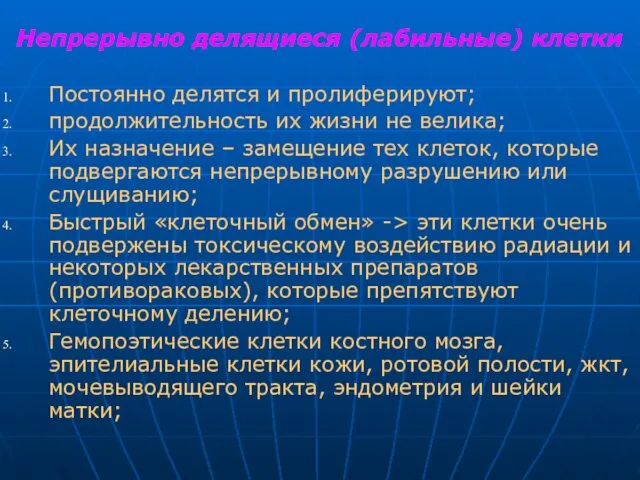 Непрерывно делящиеся (лабильные) клетки Постоянно делятся и пролиферируют; продолжительность их жизни