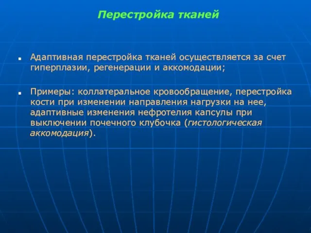 Перестройка тканей Адаптивная перестройка тканей осуществляется за счет гиперплазии, регенерации и