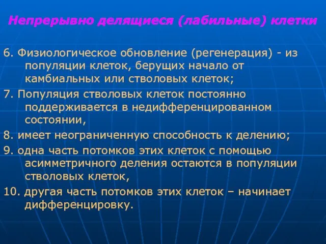 Непрерывно делящиеся (лабильные) клетки 6. Физиологическое обновление (регенерация) - из популяции