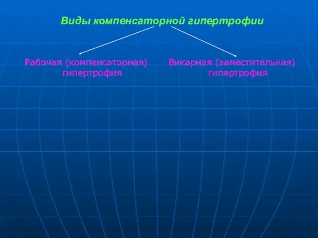 Виды компенсаторной гипертрофии Рабочая (компенсаторная) гипертрофия Викарная (заместительная) гипертрофия