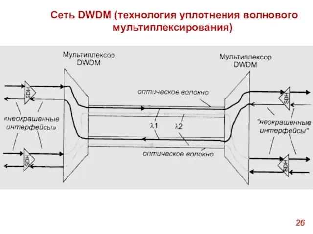 Сеть DWDM (технология уплотнения волнового мультиплексирования)