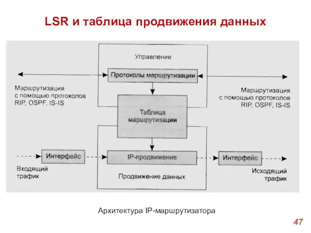 LSR и таблица продвижения данных Архитектура IP-маршрутизатора