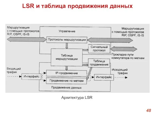 LSR и таблица продвижения данных Архитектура LSR