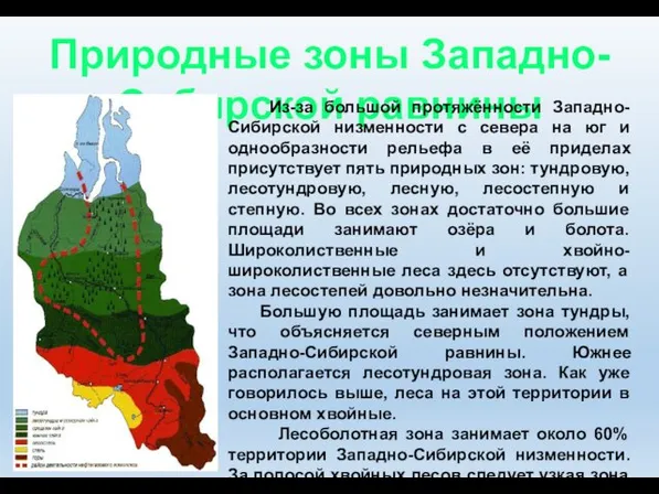 Природные зоны Западно-Сибирской равнины Из-за большой протяжённости Западно-Сибирской низменности с севера