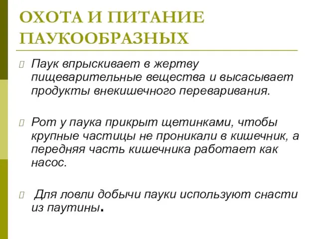 ОХОТА И ПИТАНИЕ ПАУКООБРАЗНЫХ Паук впрыскивает в жертву пищеварительные вещества и