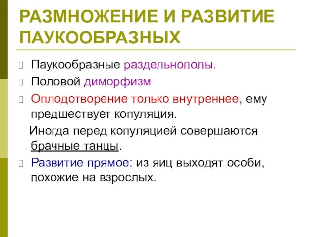 РАЗМНОЖЕНИЕ И РАЗВИТИЕ ПАУКООБРАЗНЫХ Паукообразные раздельнополы. Половой диморфизм Оплодотворение только внутреннее,