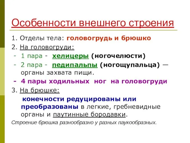 Особенности внешнего строения 1. Отделы тела: головогрудь и брюшко 2. На