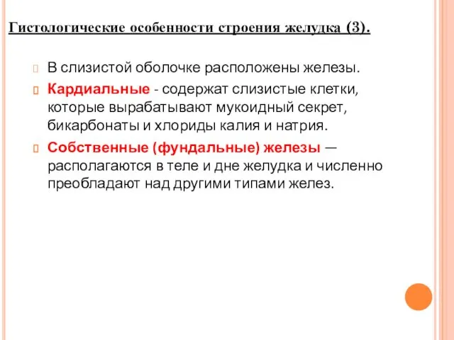 В слизистой оболочке расположены железы. Кардиальные - содержат слизистые клетки, которые