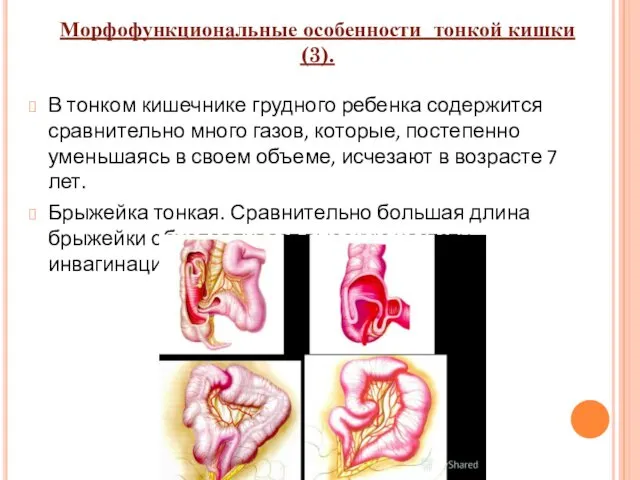 В тонком кишечнике грудного ребенка содержится сравнительно много газов, которые, постепенно