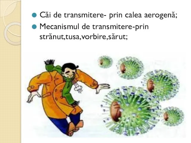 Căi de transmitere- prin calea aerogenă; Mecanismul de transmitere-prin strănut,tusa,vorbire,sărut;