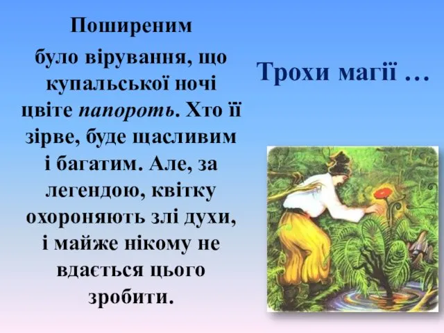 Трохи магії … Поширеним було вірування, що купальської ночі цвіте папороть.