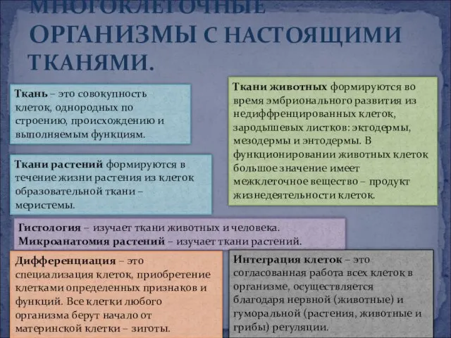 МНОГОКЛЕТОЧНЫЕ ОРГАНИЗМЫ С НАСТОЯЩИМИ ТКАНЯМИ. Ткань – это совокупность клеток, однородных