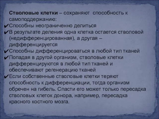 Стволовые клетки – сохраняют способность к самоподдержанию: Способны неограниченно делиться В