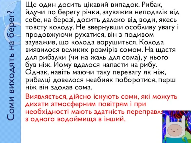 Соми виходять на берег? Ще один досить цікавий випадок. Рибак, йдучи