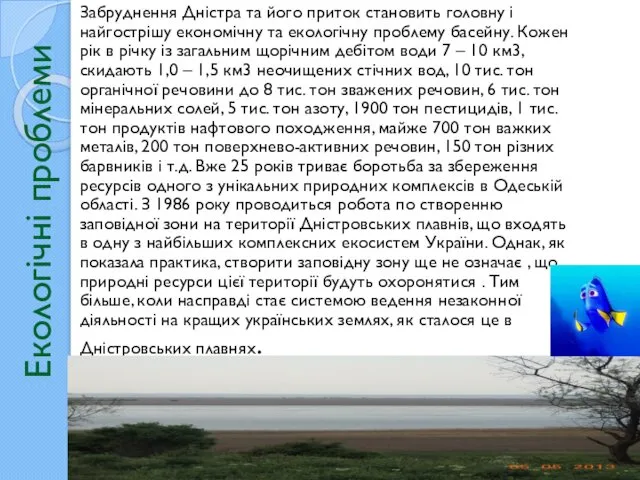 Екологічні проблеми Забруднення Дністра та його приток становить головну і найгострішу