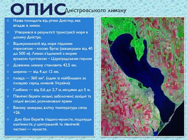 ОПИС Дністровського лиману Назва походить від річки Дністер, яка впадає в