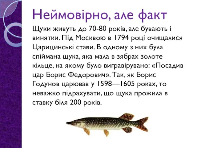 Неймовірно, але факт Щуки живуть до 70-80 років, але бувають і