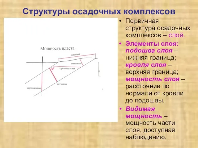 Структуры осадочных комплексов Первичная структура осадочных комплексов – слой. Элементы слоя: