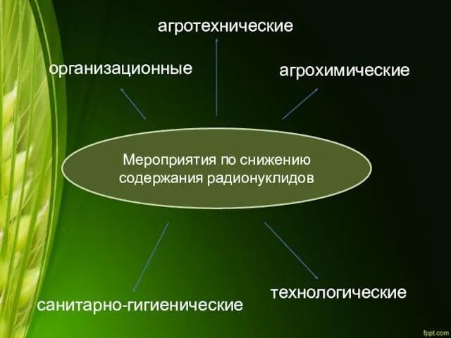 организационные Мероприятия по снижению содержания радионуклидов агротехнические агрохимические технологические санитарно-гигиенические