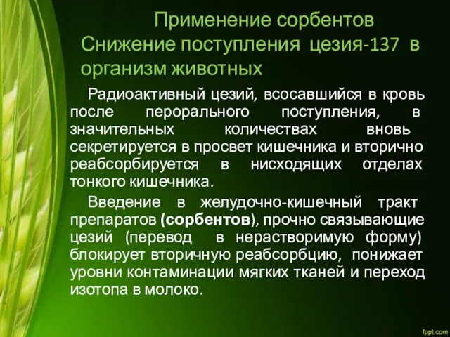 Применение сорбентов Снижение поступления цезия-137 в организм животных Радиоактивный цезий, всосавшийся