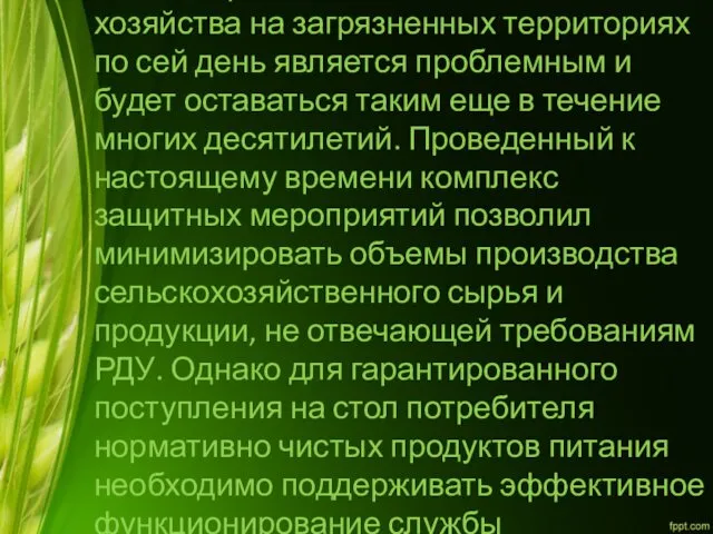 Таким образом, ведение сельского хозяйства на загрязненных территориях по сей день