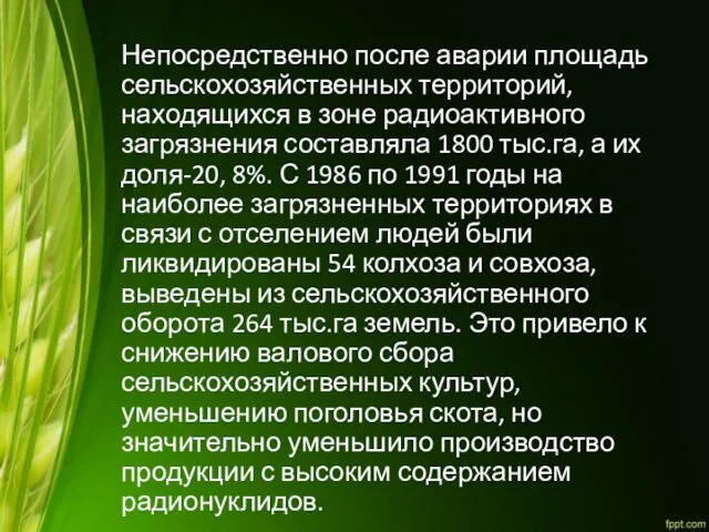 Непосредственно после аварии площадь сельскохозяйственных территорий, находящихся в зоне радиоактивного загрязнения