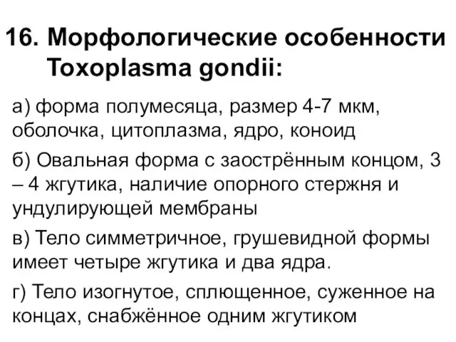 16. Морфологические особенности Toxoplasma gondii: а) форма полумесяца, размер 4-7 мкм,