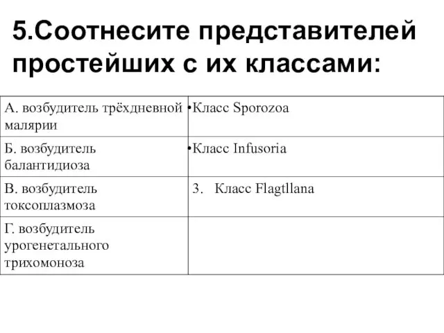 5.Соотнесите представителей простейших с их классами: