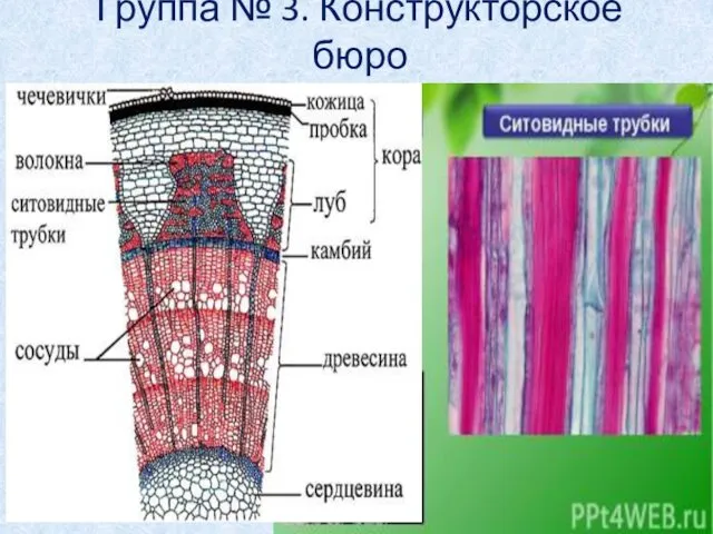 Группа № 3. Конструкторское бюро