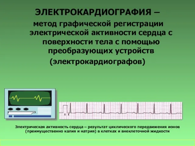 ЭЛЕКТРОКАРДИОГРАФИЯ – метод графической регистрации электрической активности сердца с поверхности тела