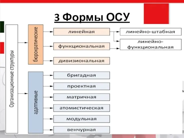 3 Формы ОСУ