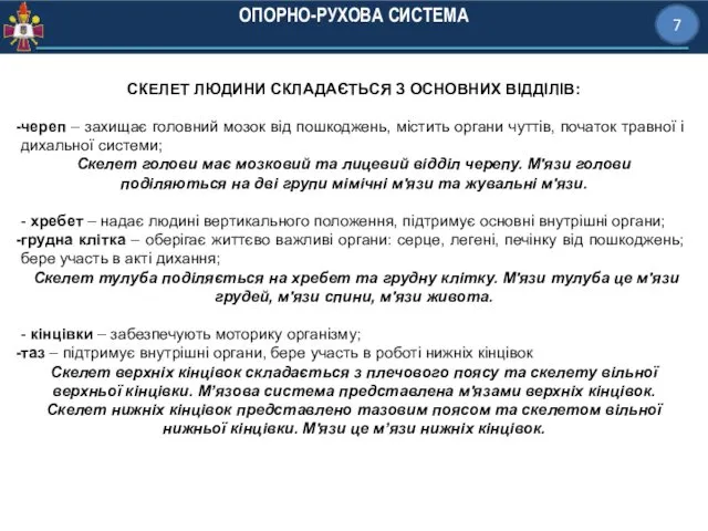 ОПОРНО-РУХОВА СИСТЕМА 7 СКЕЛЕТ ЛЮДИНИ СКЛАДАЄТЬСЯ З ОСНОВНИХ ВІДДІЛІВ: череп ‒