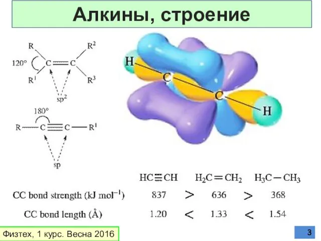 Физтех, 1 курс. Весна 2016 Алкины, строение