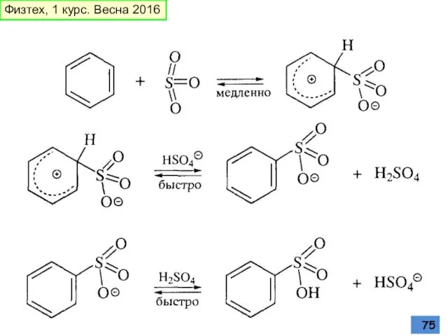 Физтех, 1 курс. Весна 2016