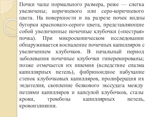 Почки чаще нормального размера, реже — слегка увеличены; коричневого или серо-коричневого